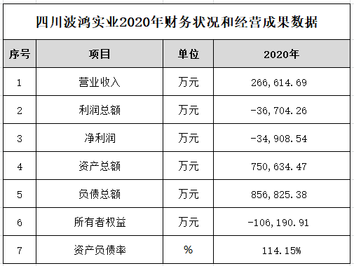 2020年财报-财务信息公开（经营管理栏）.jpg